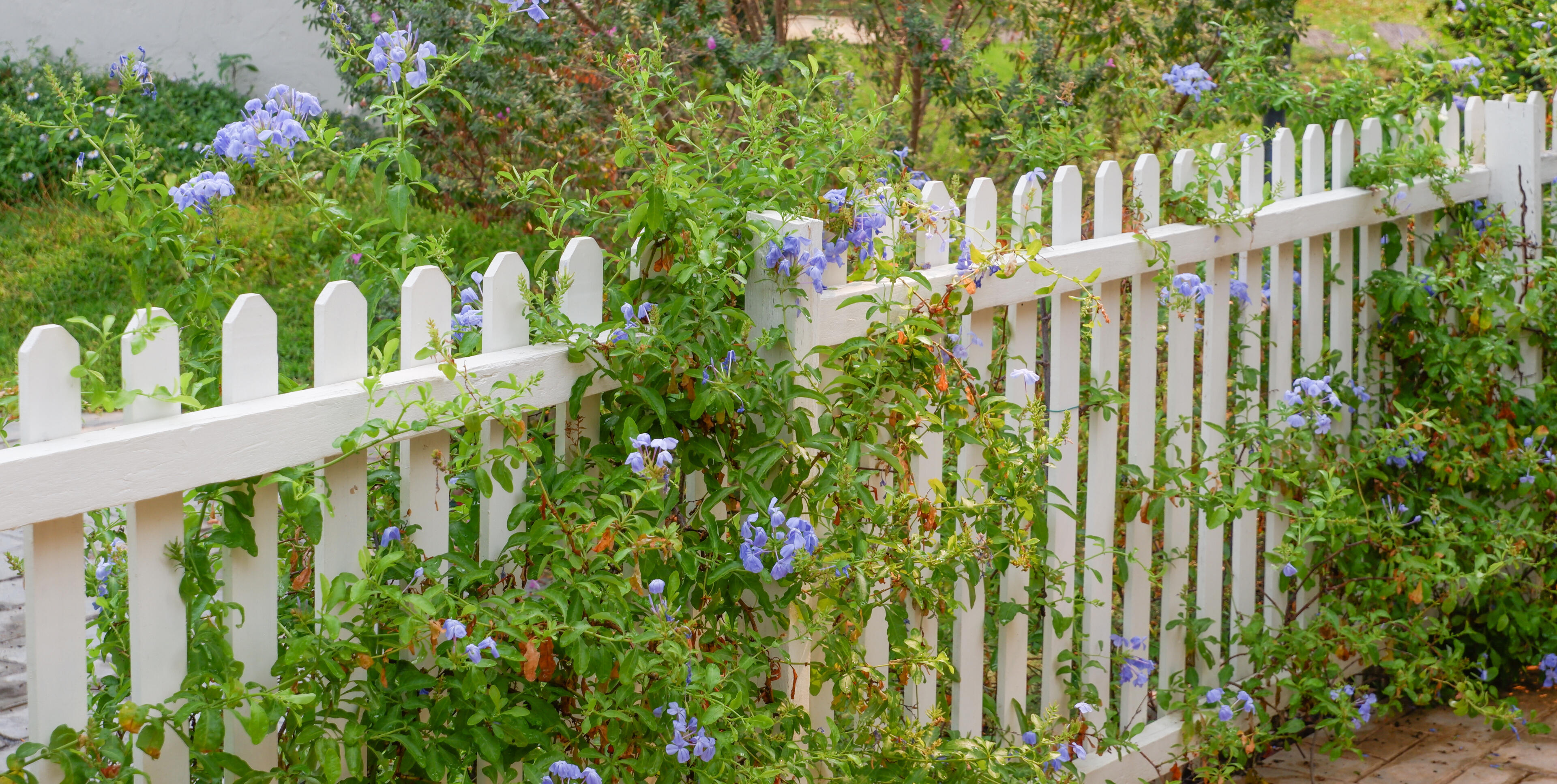 Vinyl Fencing Gilberts Illinois